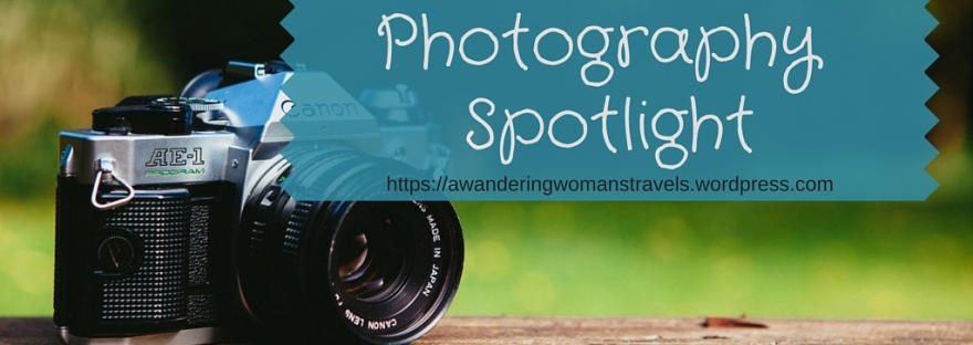 Photography spotlight